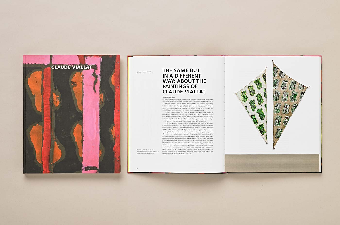 Buch über Claude Viallat